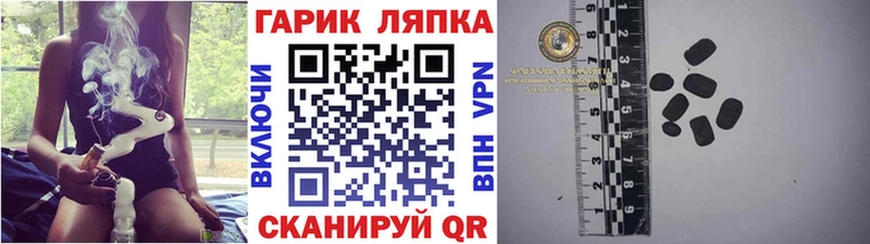 ГАШ Изолятор  Звенигород 