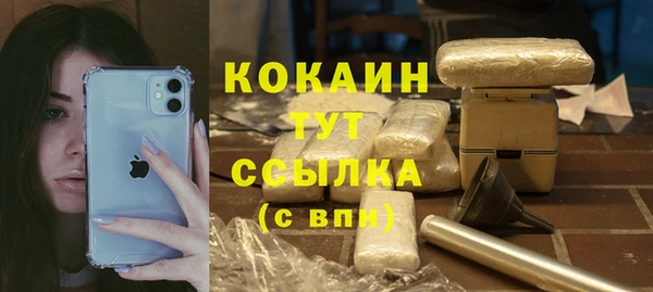 молекула духа Абинск