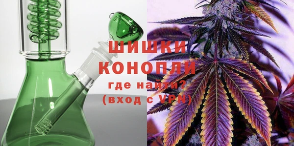 прущие грибы Протвино