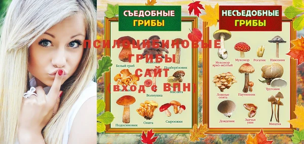 молекула духа Абинск