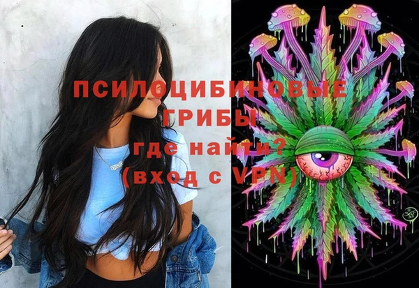 стафф Приозерск