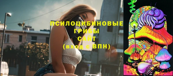 молекула духа Абинск