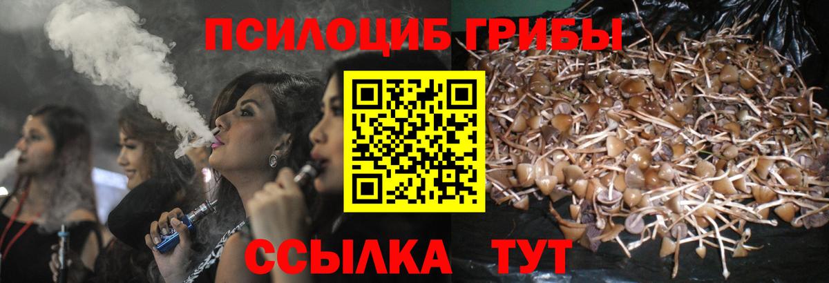 Галлюциногенные грибы мухоморы  Вход с VPN  Звенигород  Псилоцибиновые грибы GOLDEN TEACHER 